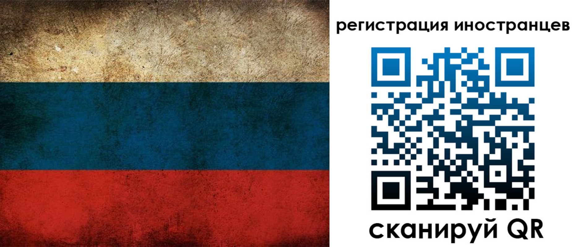 прописка для работы в Кингисеппе